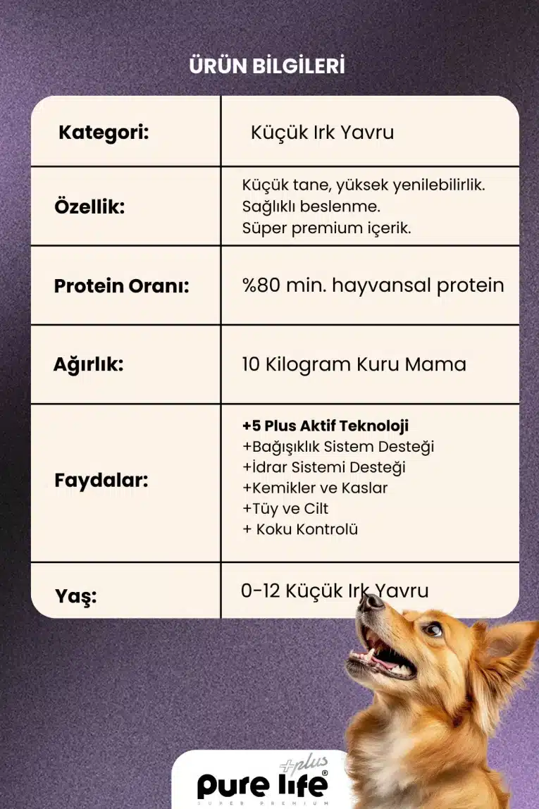 1_org_zoom-300