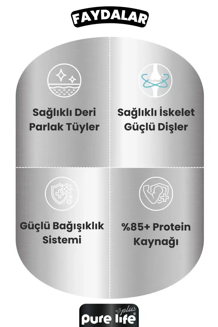 1_org_zoom-390