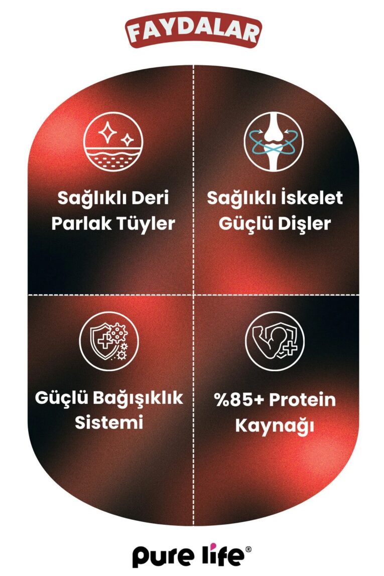 imgi_10_1_org_zoom