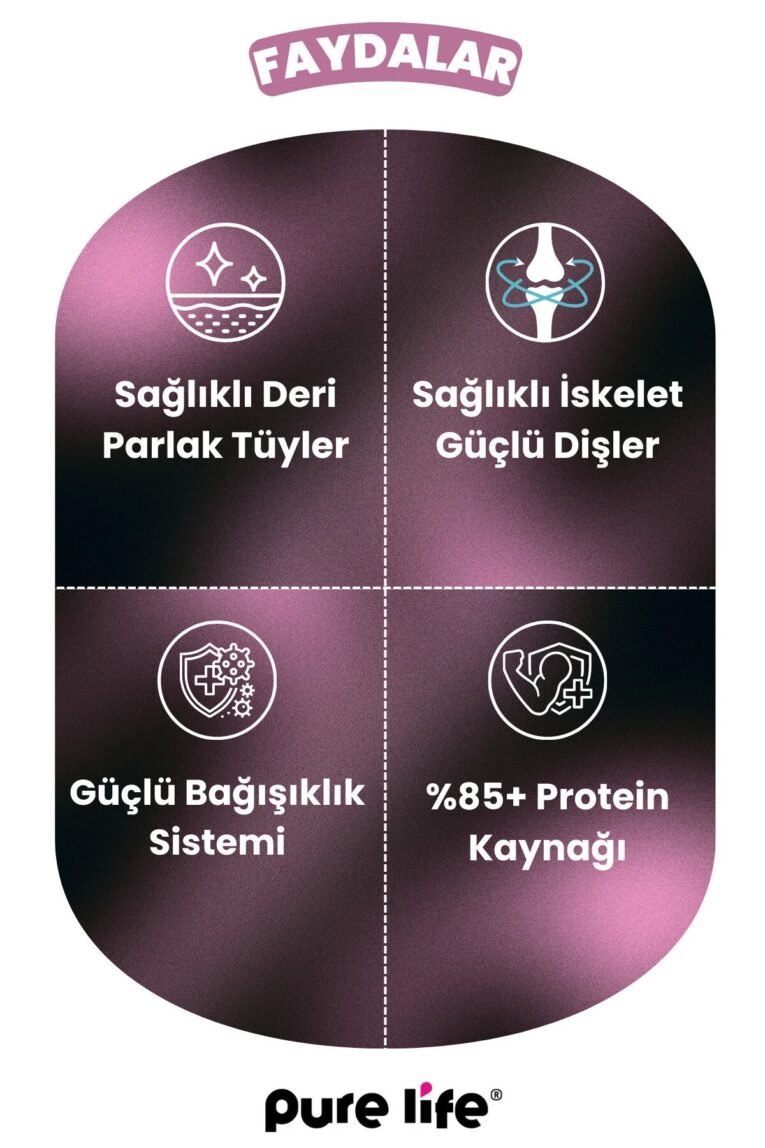 imgi_10_1_org_zoom