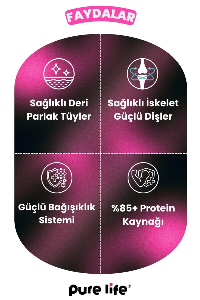 imgi_10_1_org_zoom