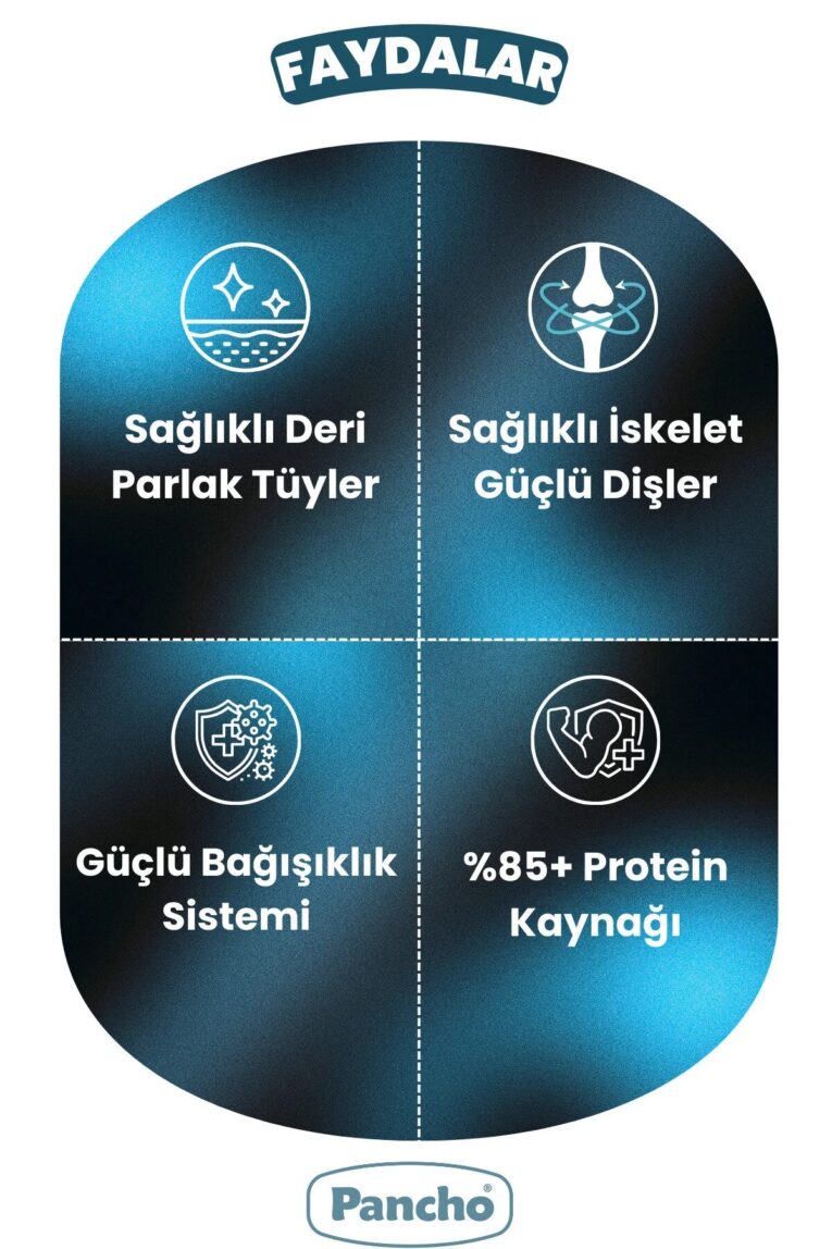 imgi_10_1_org_zoom