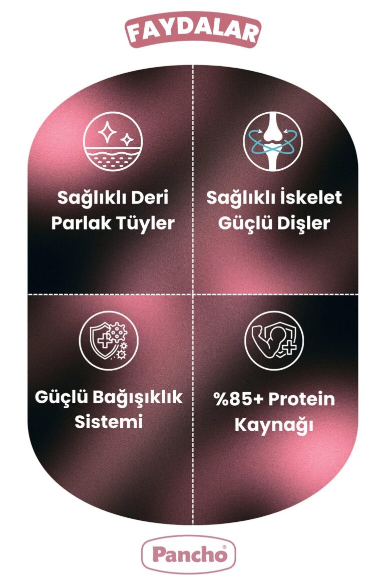 imgi_10_1_org_zoom