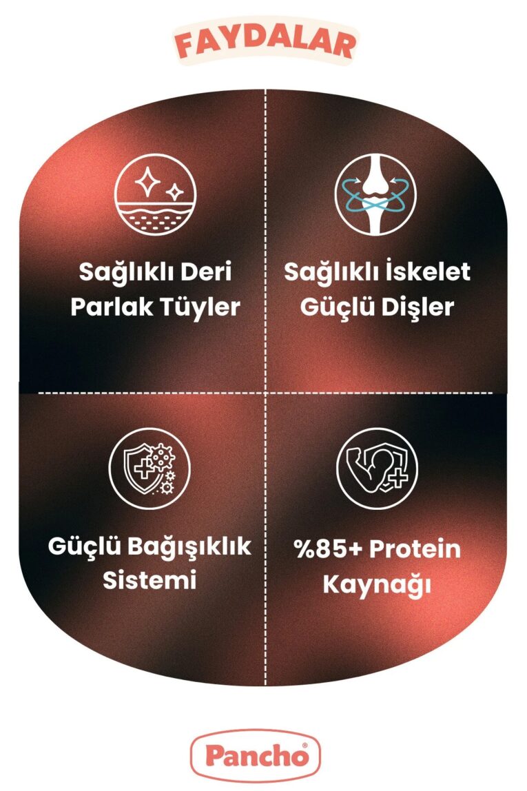 imgi_10_1_org_zoom