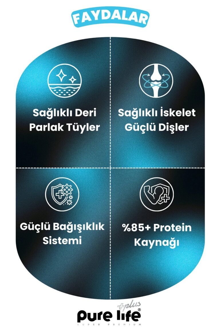 imgi_10_1_org_zoom
