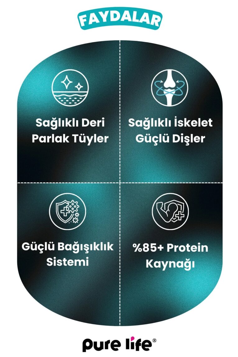 imgi_10_1_org_zoom