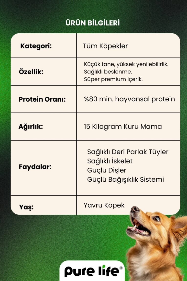imgi_11_1_org_zoom