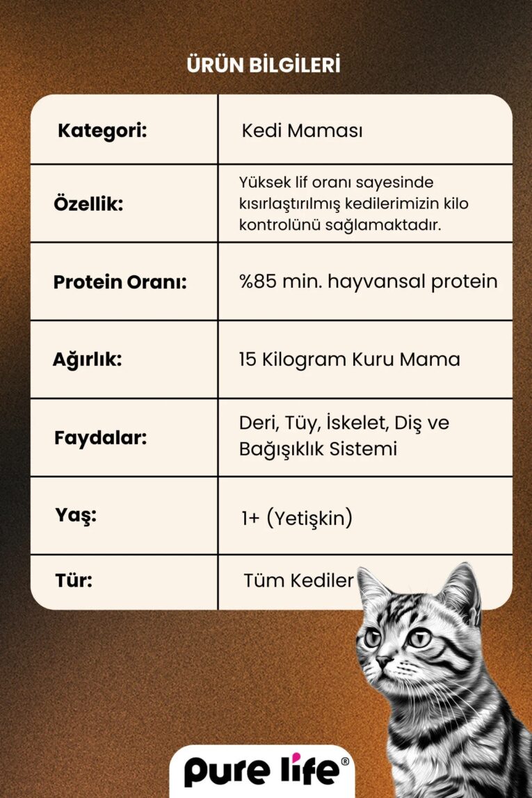 imgi_11_1_org_zoom