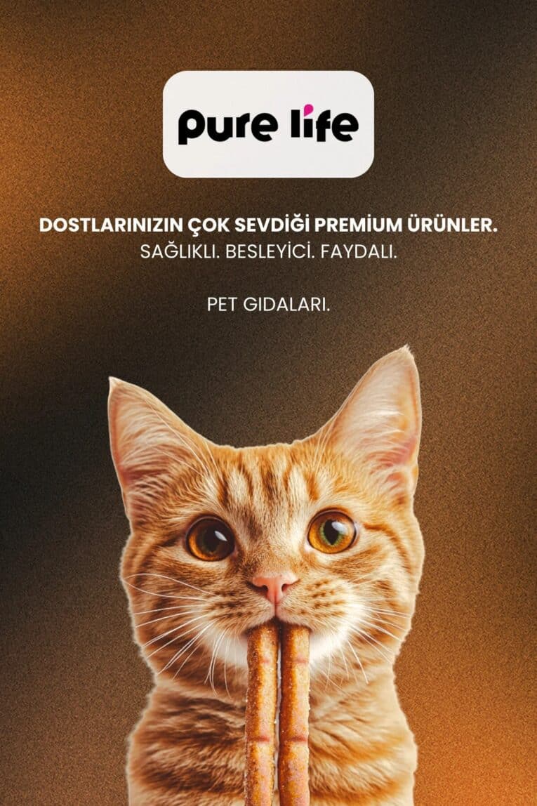 imgi_11_1_org_zoom