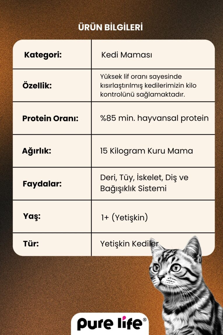 imgi_12_1_org_zoom