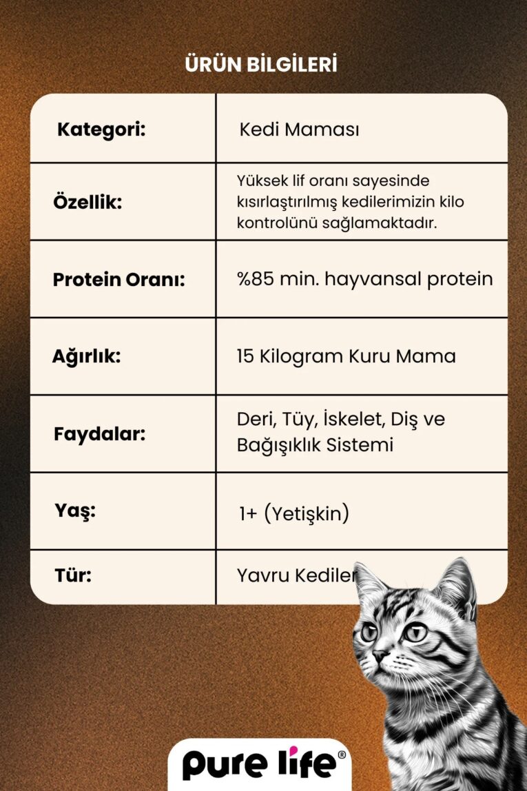 imgi_13_1_org_zoom