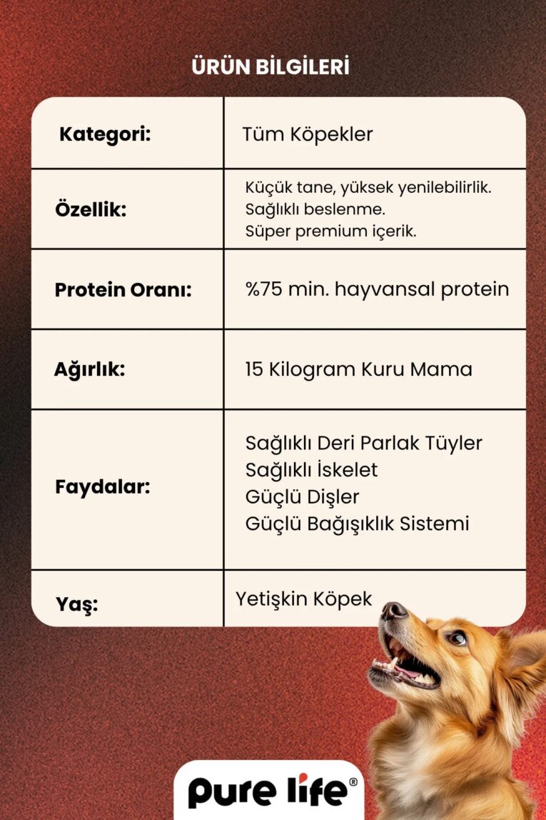 imgi_9_1_org_zoom