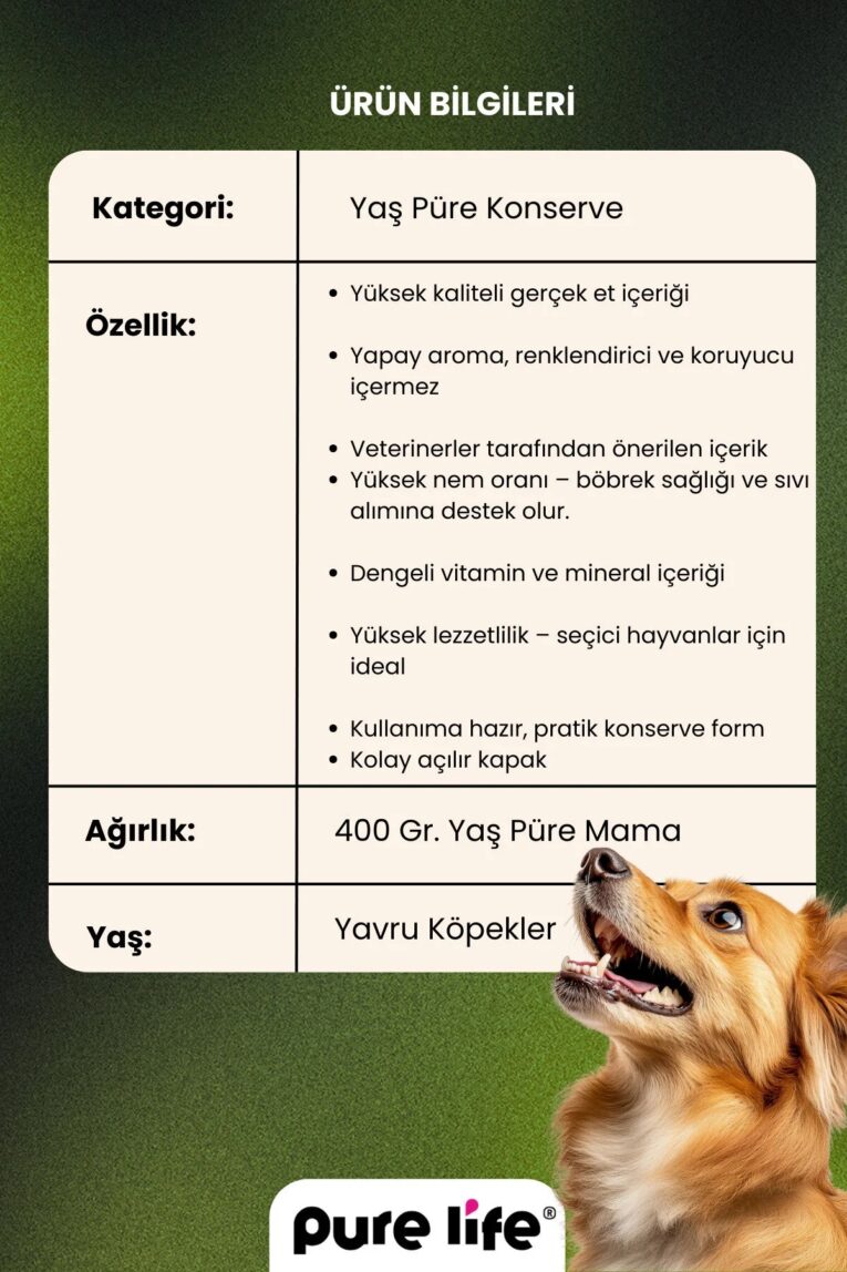 imgi_9_1_org_zoom