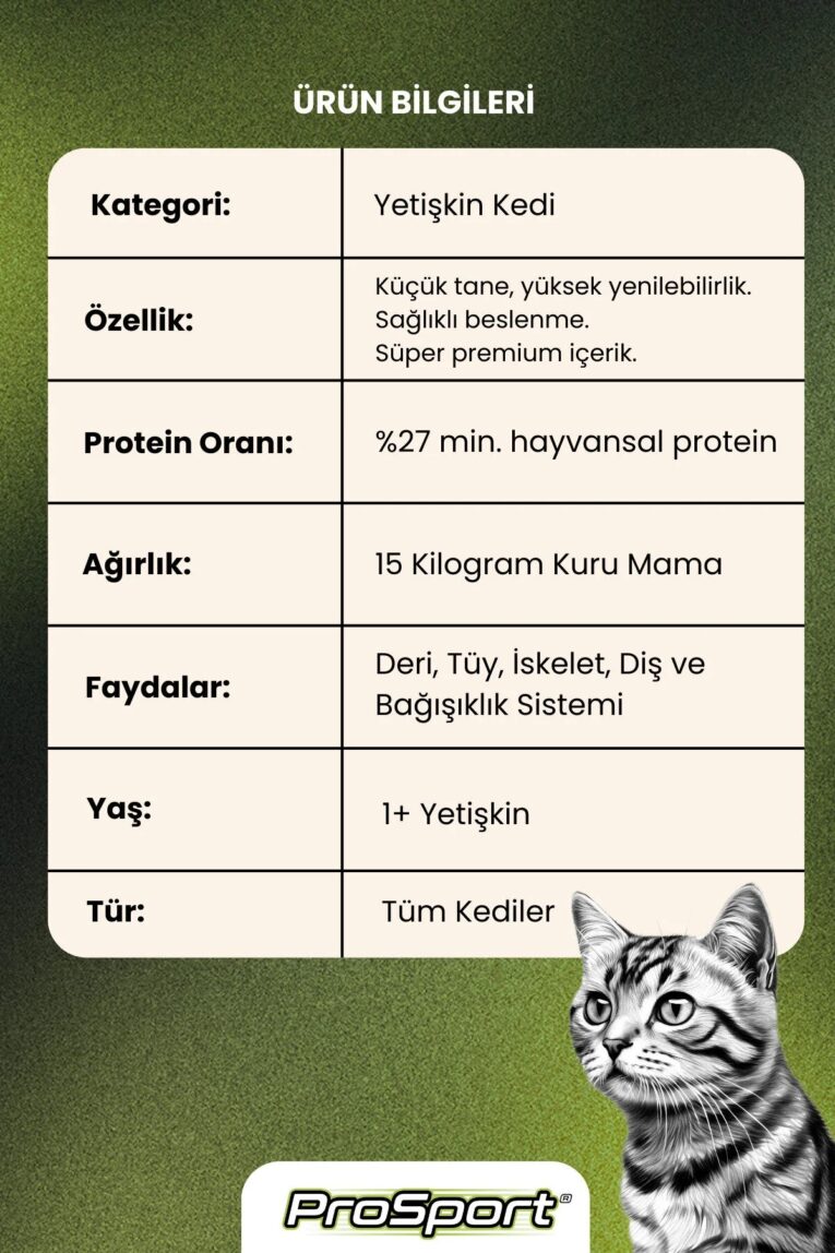 imgi_9_1_org_zoom