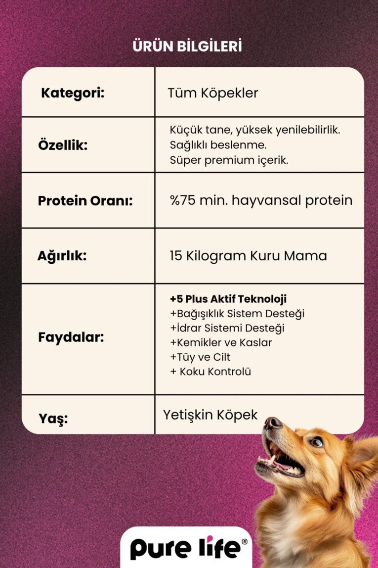 imgi_9_1_org_zoom