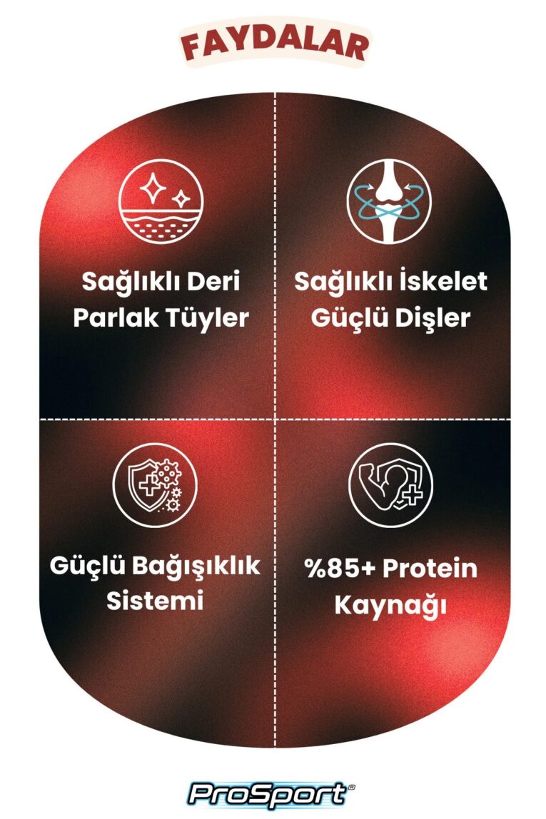 imgi_9_1_org_zoom