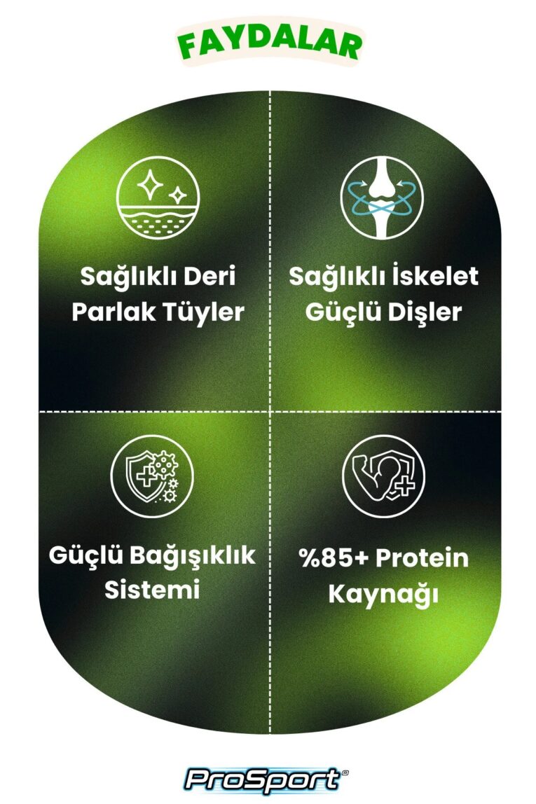 imgi_9_1_org_zoom