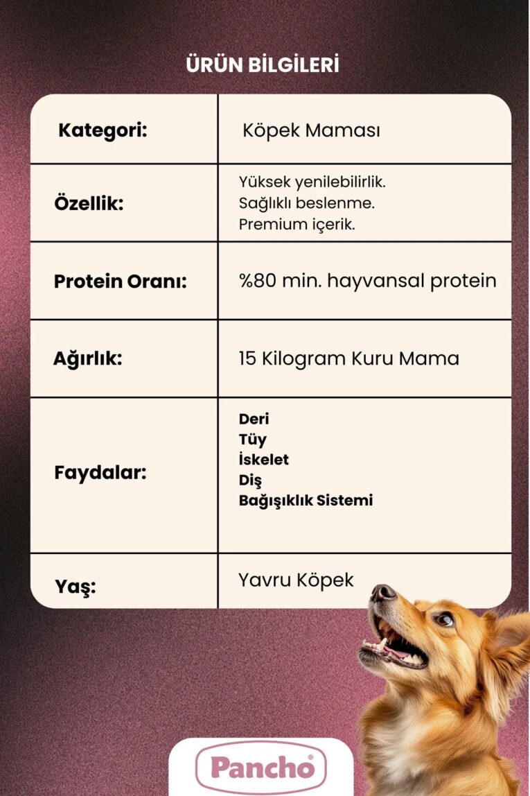imgi_9_1_org_zoom