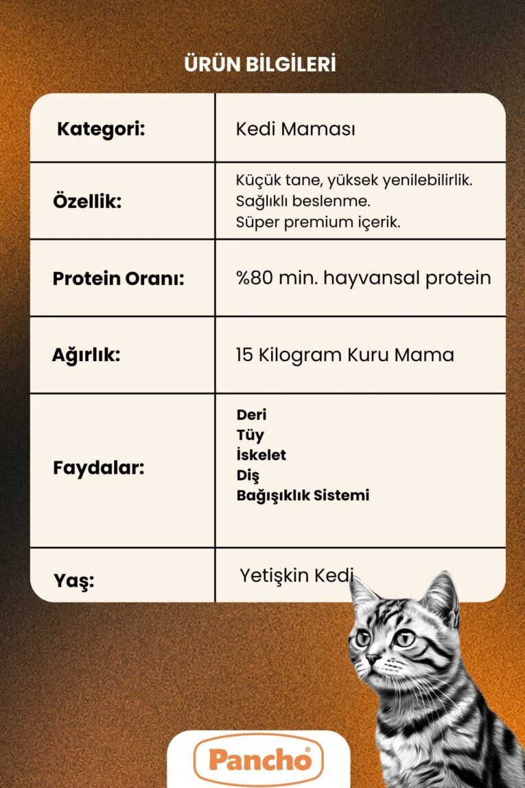 imgi_9_1_org_zoom