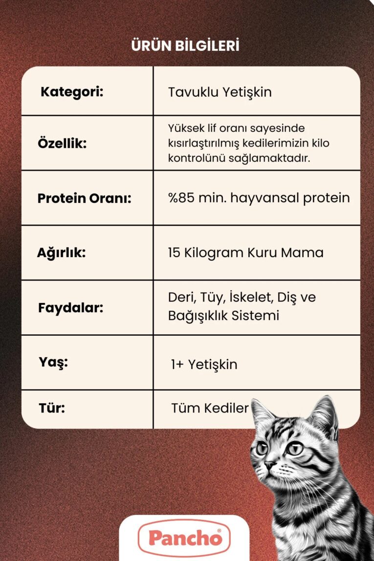 imgi_9_1_org_zoom